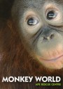 Monkey World Guide 2008 - Orangutan